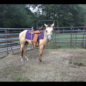 Meet your Posher, Cathy